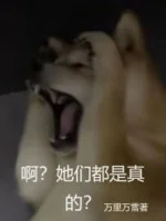 Image of A? Các Nàng Đều Là Thật?