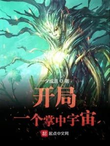 Bắt Đầu Một Cái Trong Lòng Bàn Tay Vũ Trụ Poster