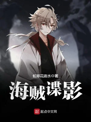 Hải Tặc Điệp Ảnh Poster