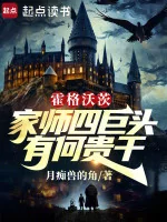 Image of Hogwarts: Gia Sư Bốn Cự Đầu, Có Việc Gì