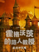 Image of Hogwarts Người Qua Đường Giáo Sư