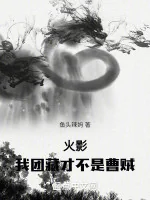 Image of Hokage: Ta Danzō Mới Không Phải Tào Tặc