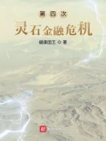 Image of Khủng Hoảng Tài Chính Linh Thạch Lần Thứ Tư