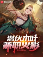 Image of Mai Phục Làng Lá, Kiêm Chức Hokage