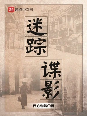 Mê Tung Điệp Ảnh Poster