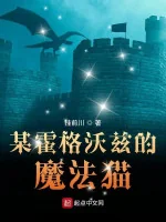 Image of Nào Đó Hogwarts Ma Pháp Mèo