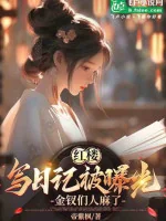 Image of Người Tại Hồng Lâu Viết Nhật Ký, Trâm Vàng Nhóm Đều Phá Phòng