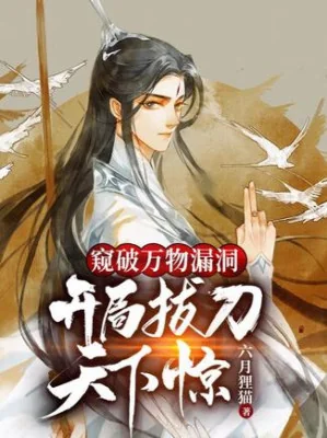 Nhìn Ra Vạn Vật Lỗ Thủng, Bắt Đầu Rút Đao Thiên Hạ Kinh Poster