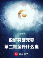 Image of Nói Xong Đột Phá Nguyên Anh, Viên Thứ Hai Kim Đan Là Cái Quỷ Gì