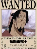 Image of One Piece: Ta Đông Hải Sơn Tặc Vương