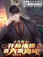 Image of One Piece: Xin Gọi Ta Giáo Phụ