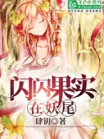 Image of Pika Pika No Mi Tại Fairy Tail