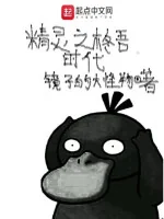 Image of Pokemon Chi Shūgo Thời Đại