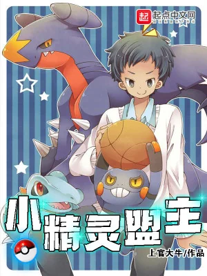 Pokemon Minh Chủ Poster