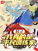 Image of Pokemon: Ta Thật Là Bình Dân Trainer