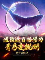 Image of Quán Đỉnh Trở Lại Gấp Trăm Lần Tu Vi: Thanh Điểu Biến Côn Bằng