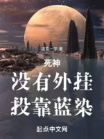 Image of Shinigami: Không Có Phần Mềm Hack, Đầu Nhập Vào Aizen