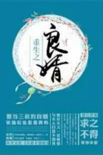 Image of Sống Lại Làm Người Lương Thiện Con Rể