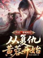 Image of Tổng Võ: Tào Tặc Dương Quá, Từ Báo Thù Hoàng Dung Bắt Đầu