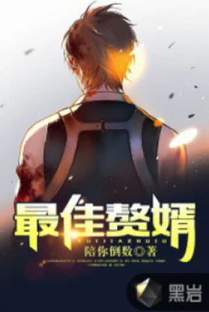 Tốt Nhất Con Rể Poster