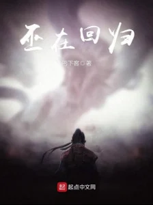 Vu Tại Hồi Quy Poster