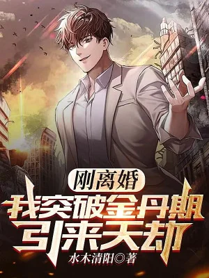 Vừa Ly Hôn, Ta Đột Phá Kim Đan Kỳ, Dẫn Tới Thiên Kiếp Poster